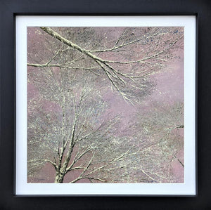 A View From Below by Chris Bourne