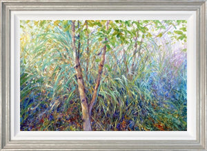 Birch Serenity by Mariusz Kaldowski