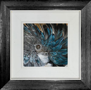 Blue by Clare Parkes