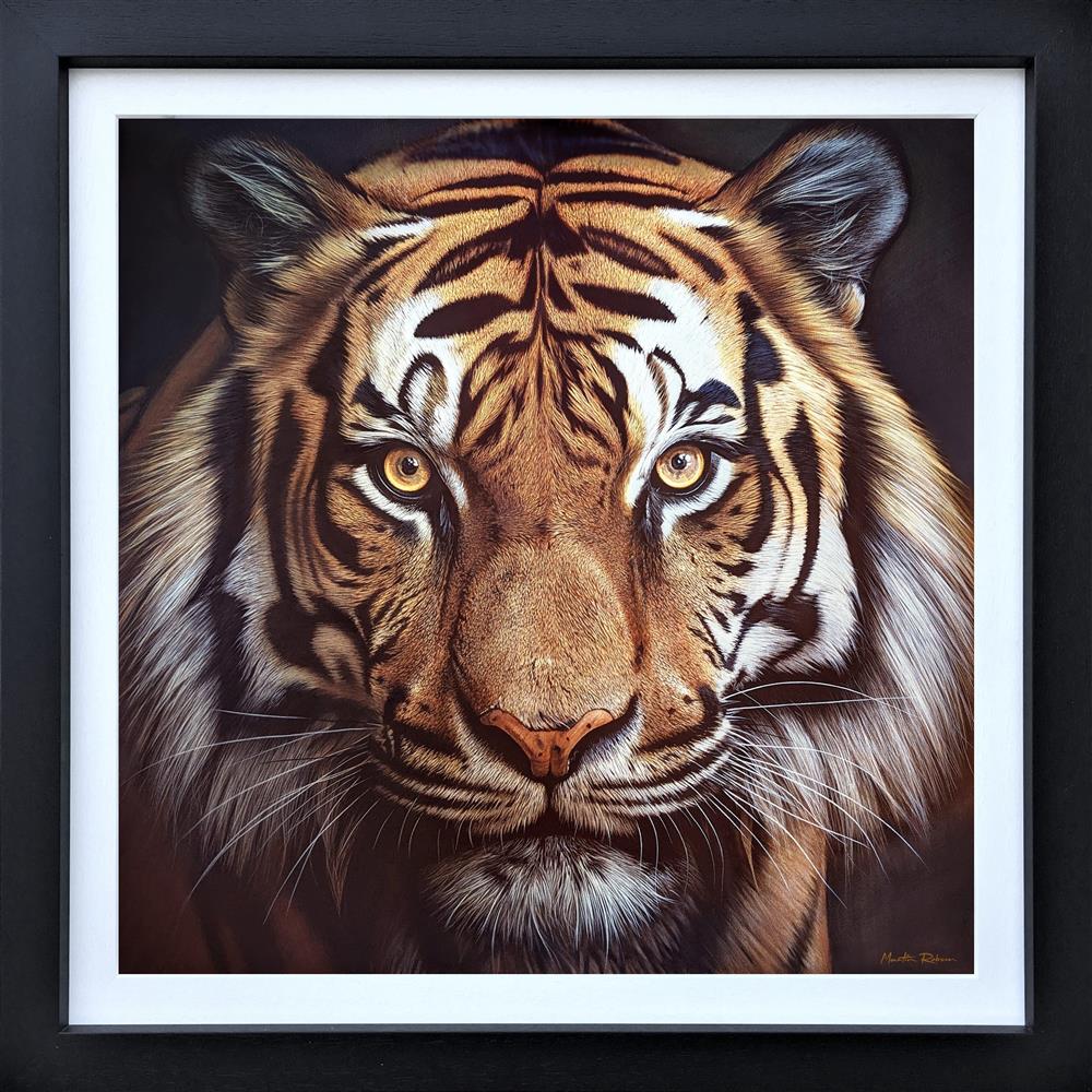 Emperor's Gaze by Martin Robson