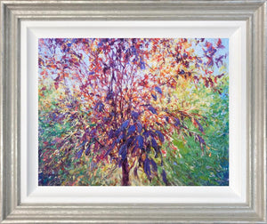 Prunus by Mariusz Kaldowski