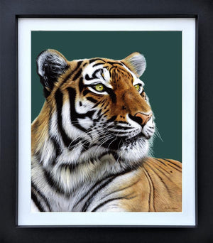 Silent Hunter by Martin Robson