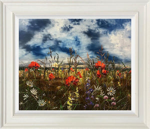 Summers Glow by Kimberley Harris