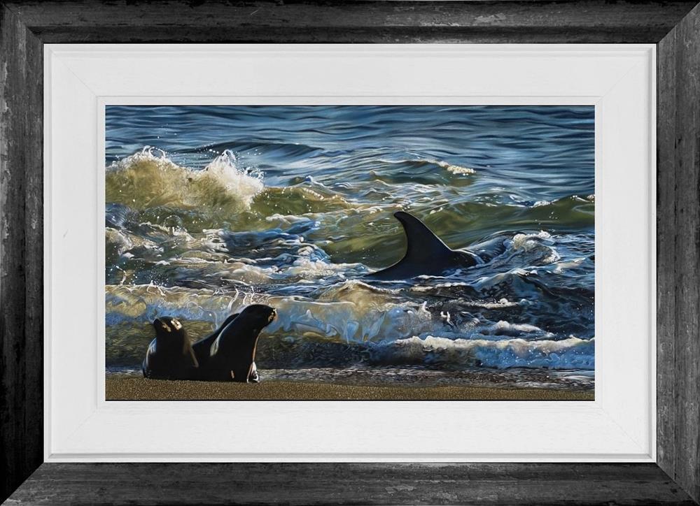 Sunlit Orca by Clare Parkes