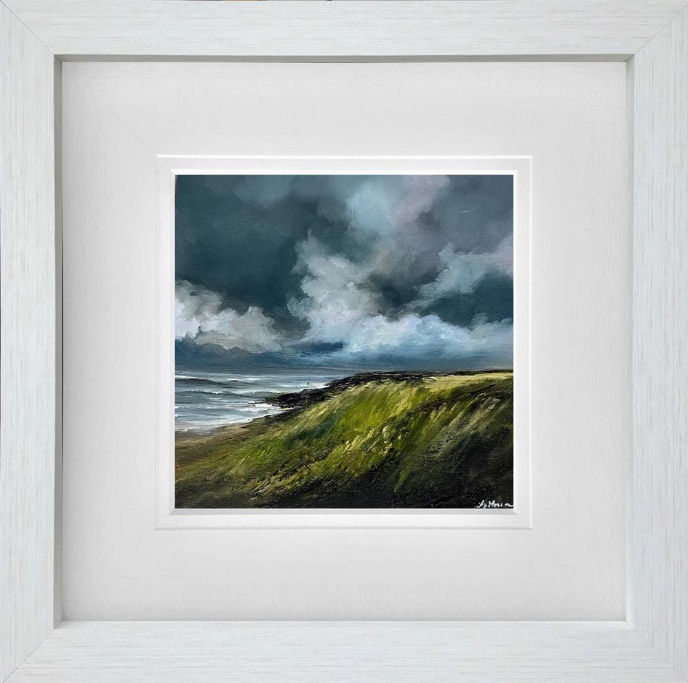 The Open Lands by Alison Johnson