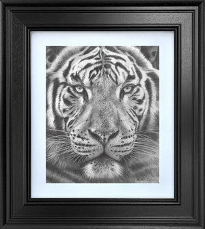 The Silent Warrior - Study by Martin Robson