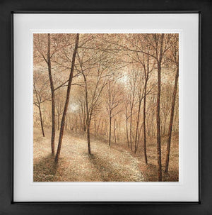 Through The Tree's~ by Chris Bourne