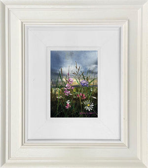 Wandering Light by Kimberley Harris