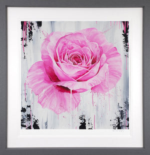 A Pink Rose Framed Print on Paper by Artist Dean Martin (The Mad Artist)