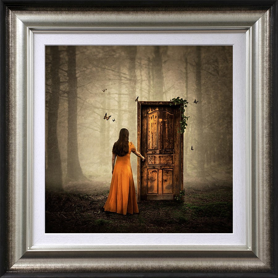 As One Door Shuts Framed Print on Paper by Artist Michelle Mackie