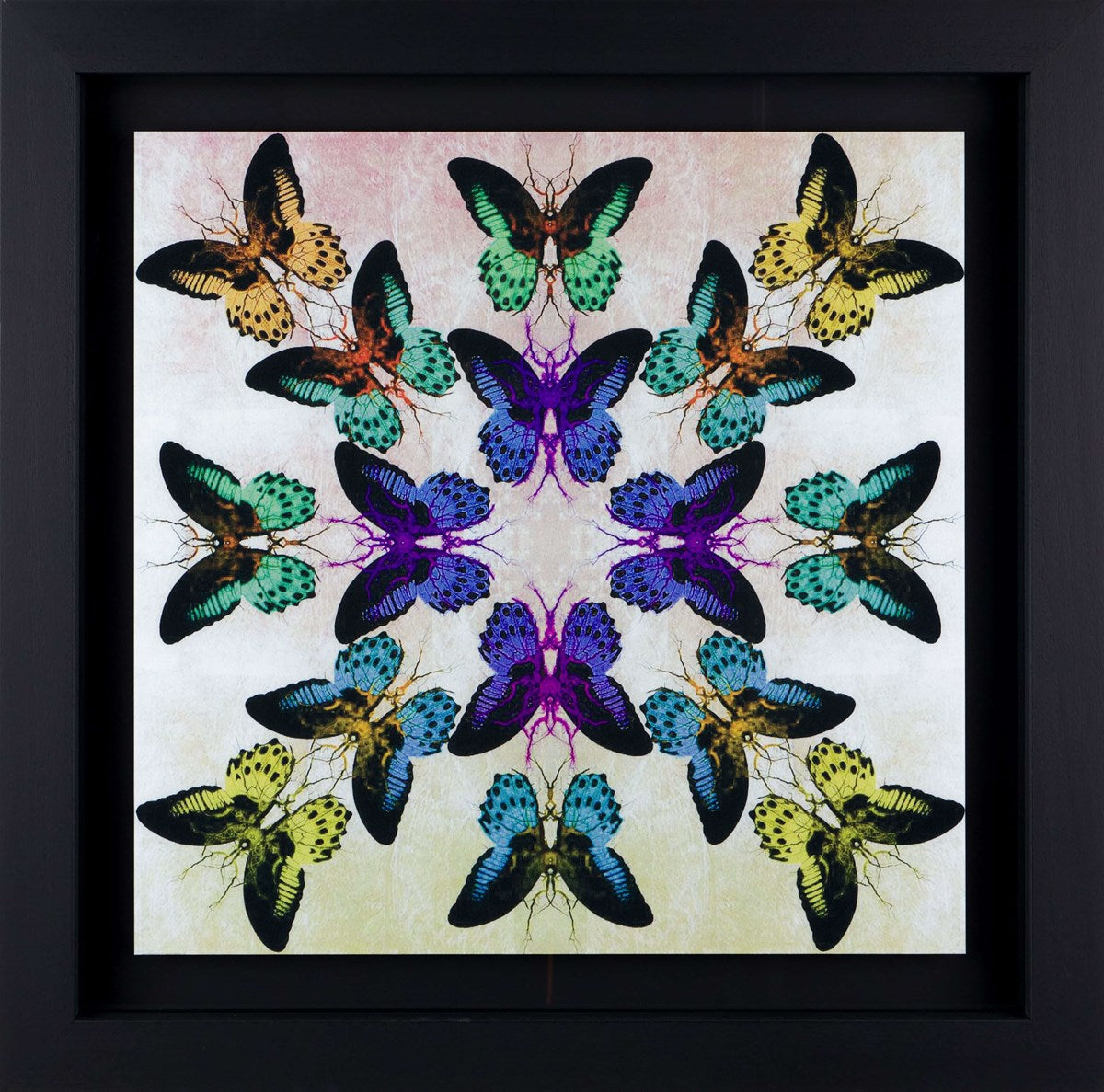 Collide Framed Signed Limited Edition Lenticular Print on Paper by Artist Maxim