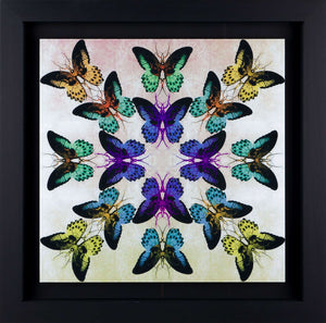 Collide Framed Signed Limited Edition Lenticular Print on Paper by Artist Maxim