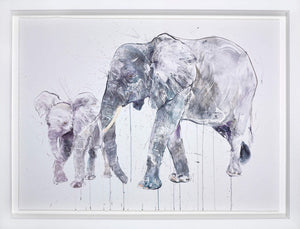 Elephant and Calf Framed Signed Limited Edition Print on Paper by Artist Dave White
