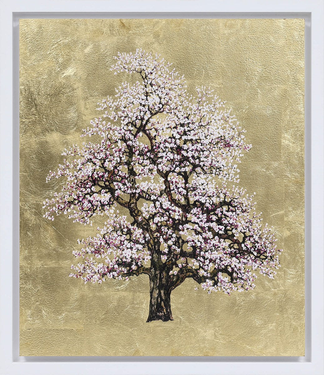 Gilded Blossom Framed Signed Limited Edition Mixed Media Print by Artist Jack Frame