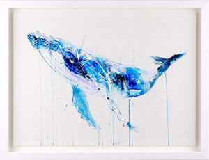 Humpback Whale Framed Signed Limited Edition Print on Paper by Artist Dave White