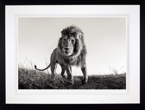 Hunter Framed Print on Paper by Artist Anup Shah