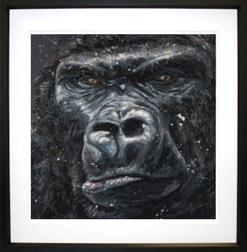 Jock Framed Print on Paper by Artist Paul Oz