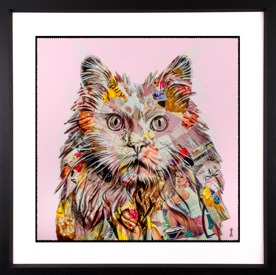 Pampurred Framed Print by Artist Chess