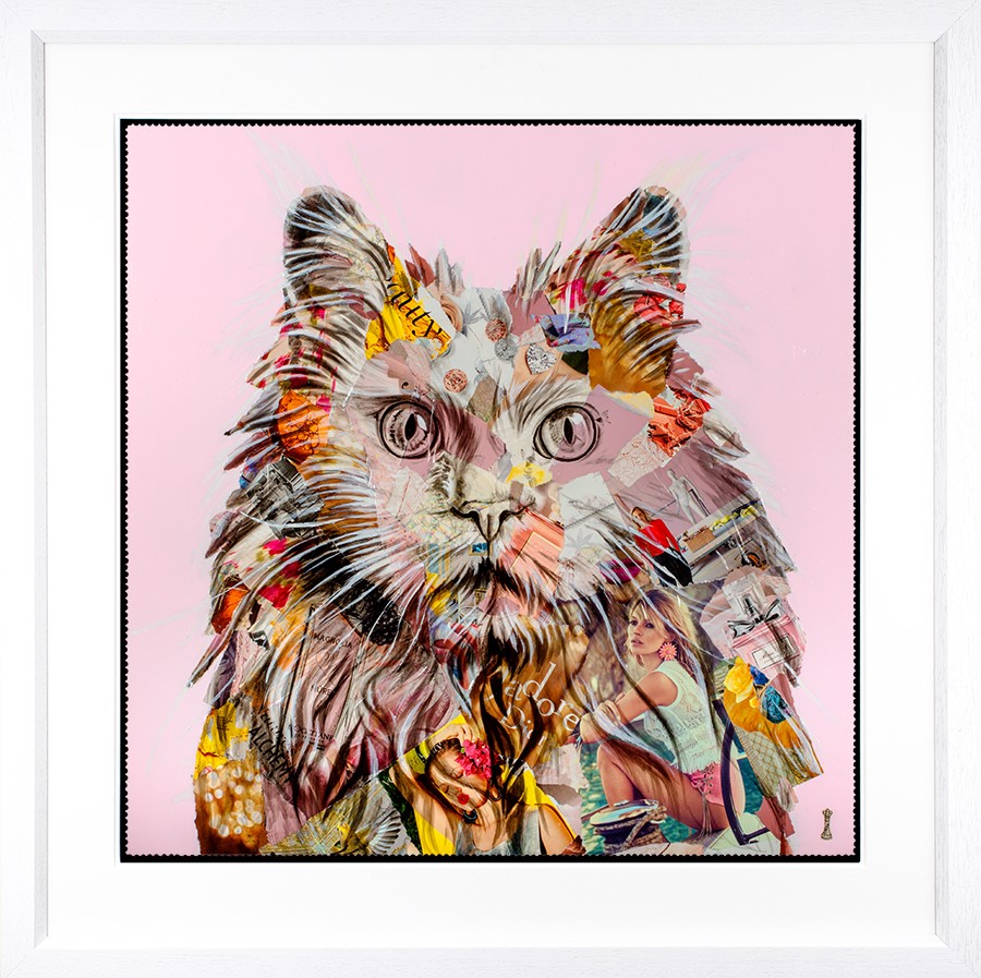 Pampurred Framed Print by Artist Chess