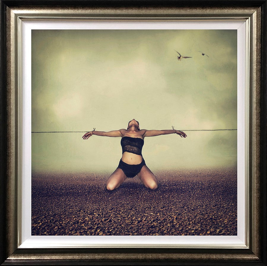 Pulled In All Directions Framed Print on Paper by Artist Michelle Mackie