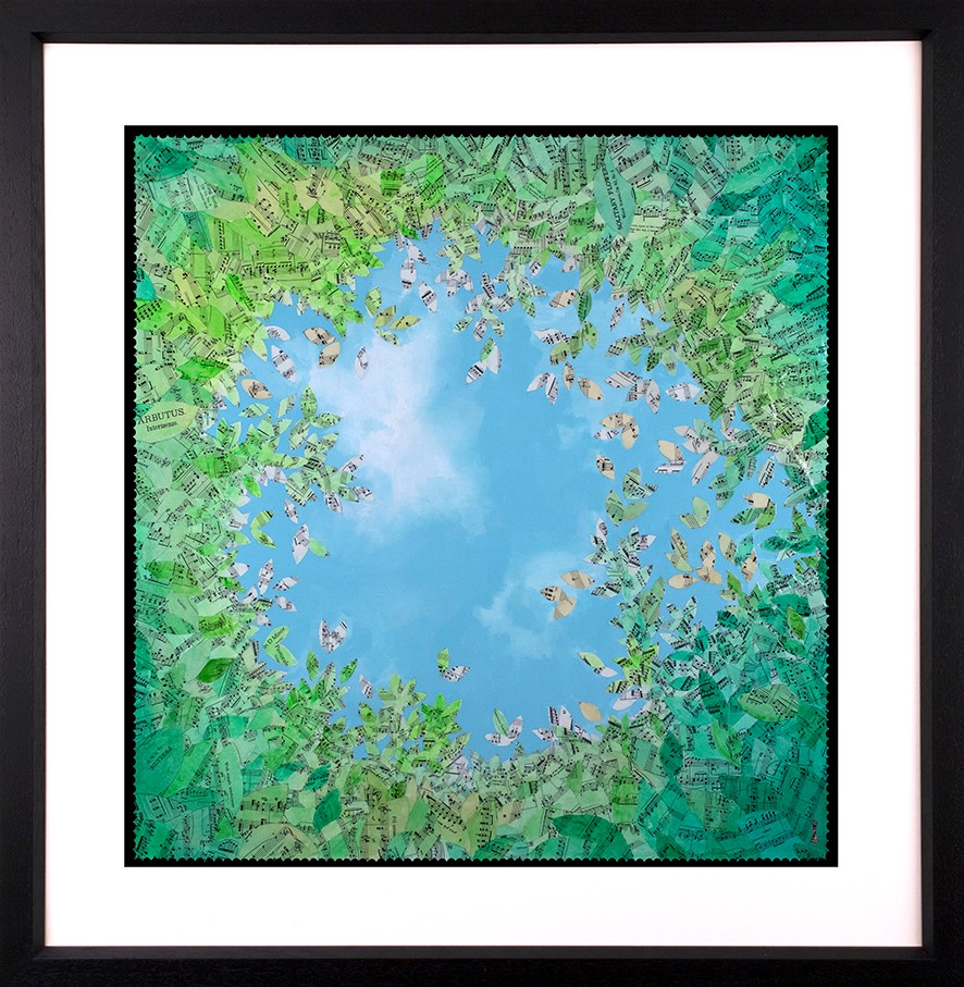 The Canopy Framed Print by Artist Chess