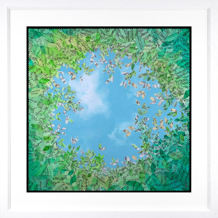 The Canopy Framed Print by Artist Chess