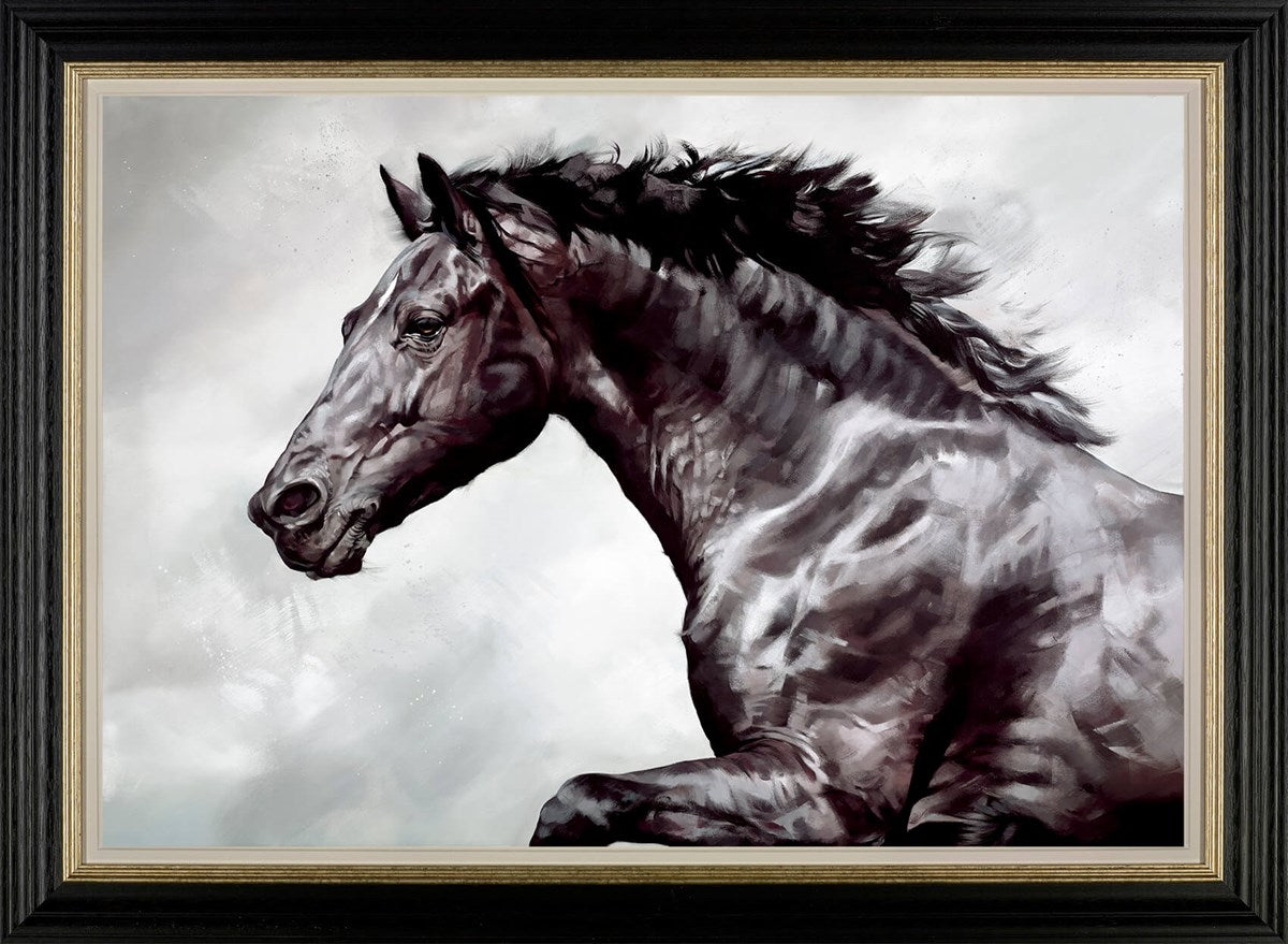 The Conqueror Framed Canvas on Board by Artist Debbie Boon