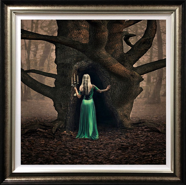 Woodland Whispers Framed Print on Paper by Artist Michelle Mackie