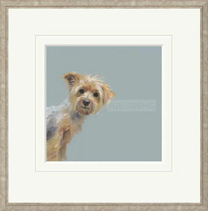 Yorkie Signed Framed Limited Edition Print on Paper by Artist Nicky Litchfield